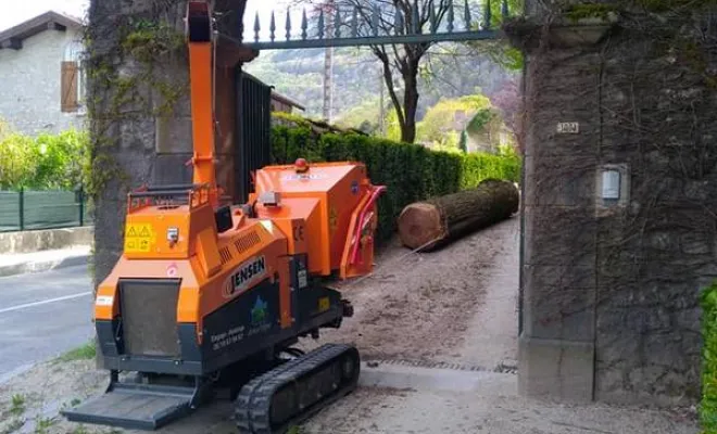 Travaux d'abattage d'arbres, Grenoble, Arbor'Alpes