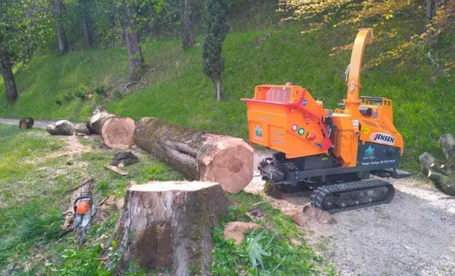 Travaux d'abattage d'arbres, Grenoble, Arbor'Alpes