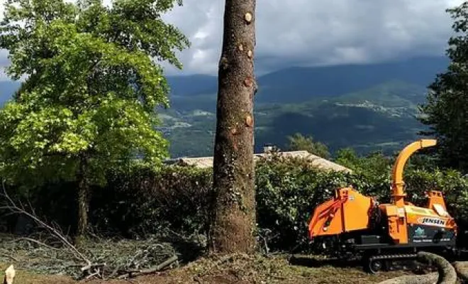 Travaux de taille d'arbres, Grenoble, Arbor'Alpes